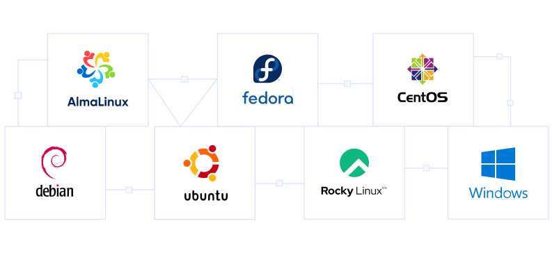 Choose your OS for Host4India memory-Optimised servers