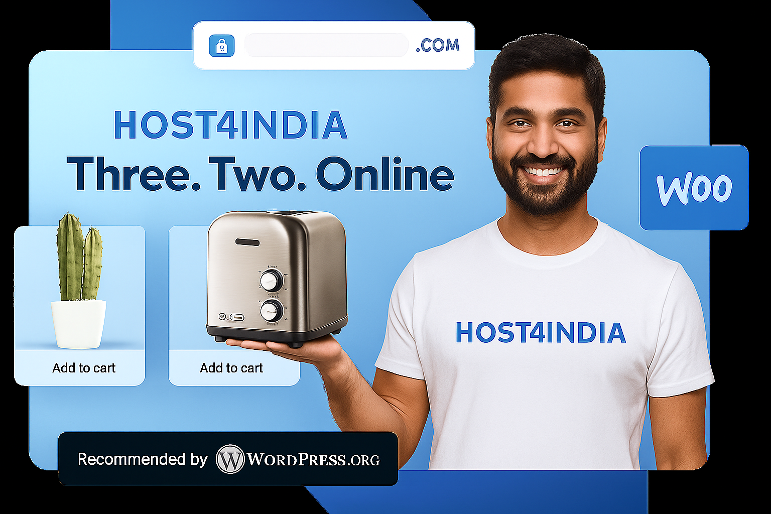 WordPress Excellence